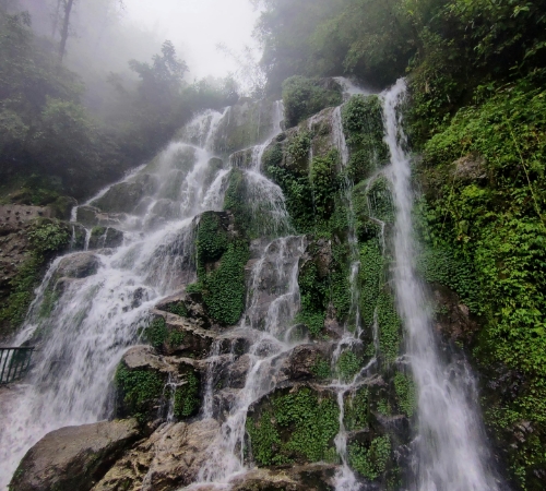 Darjeeling & Sikkim Tour