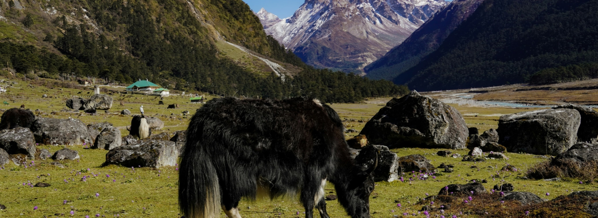 6 Nights 7 Days Sikikim & Darjeeling Tour Package