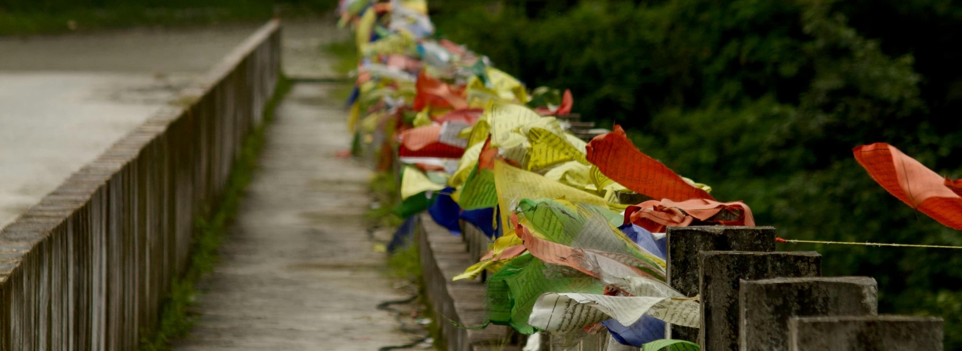 Silkroute Packages
